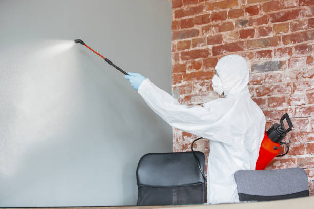 Best Air Quality Testing for Mold Spores  in Worthington, OH