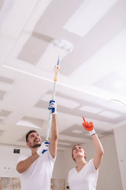 Best Mold Odor Removal Services  in Worthington, OH