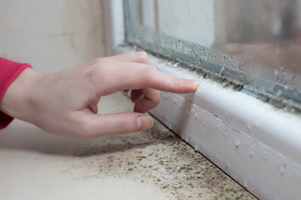 Best Real Estate Mold Inspection  in Worthington, OH