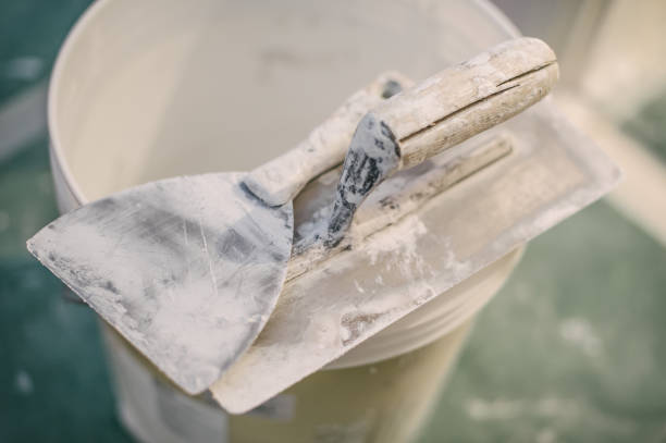 Best Black Mold Removal  in Worthington, OH